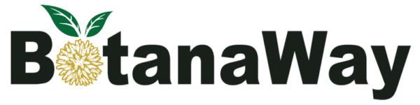 Botanaway